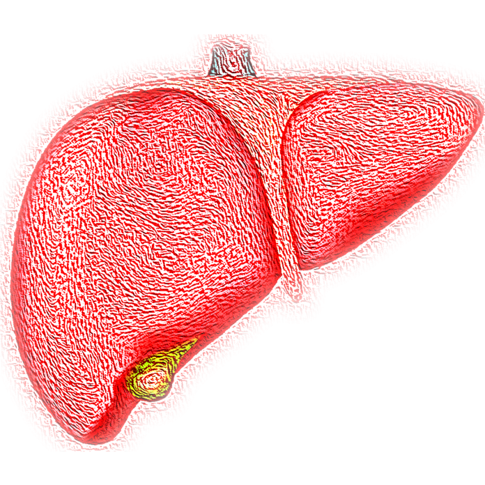 Cancro al fegato stadio 4 aspettativa di vita