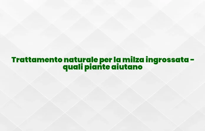 Rimedi naturali per la milza ingrossata