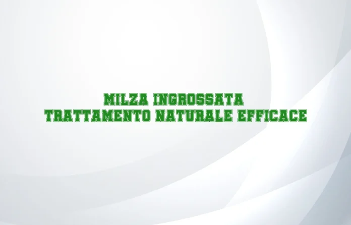 Rimedi naturali per la milza ingrossata