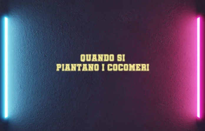 Quando si piantano i cocomeri