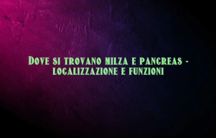 Dove si trovano la milza e il pancreas